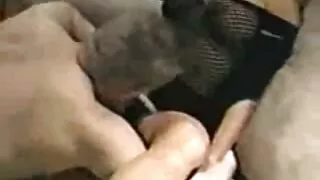 ایم وائی ایل ایف کی گرما گرم راچیل کیولی کے ساتھ سوفا پر سمٹ