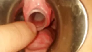 بینگ بروس سے سینگ کوری چیس کے ساتھ پاؤں چاٹنا فحش