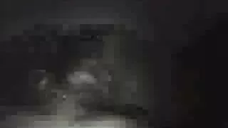 ٹگ پاس سے خوبصورت گریس کے ساتھ ٹیبل منظر پر