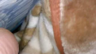 ٹگ پاس سے موہک سڈنی پائیج کے ساتھ ملف سکرو